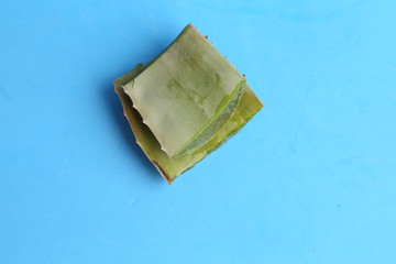 plant used for aloe vera medicine in color background