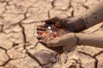 on dry ground, concept hope and drought