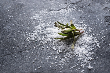 A branch of green rosemary and edible salt on a dark concrete background. Copy space.