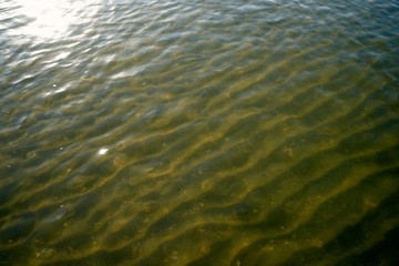 Image of sea water.