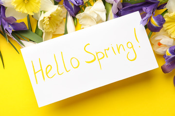 Card with words HELLO SPRING and fresh flowers on yellow background, flat lay © New Africa