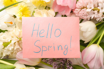 Pink card with words HELLO SPRING on fresh flowers, top view