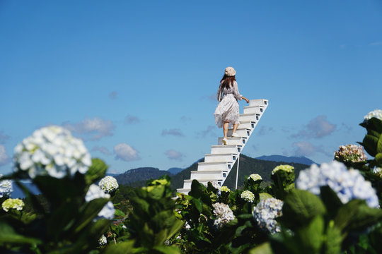 Young woman traveler enjoying with blooming hydrangeas in Dalat, Vietnam, Travel lifestyle concept