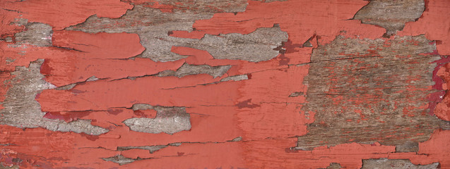 wood old wall color grunge