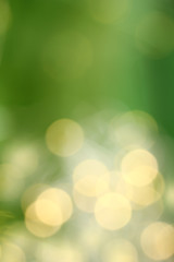 Abstract blurry lights in yellow and green colors. summer warming background