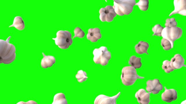 garlic particle green screen loop animation