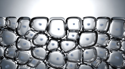 Cell Cross Section