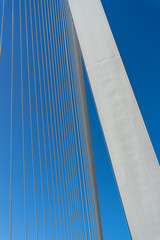 Obraz premium detail of erasmus bridge rotterdam netherlands