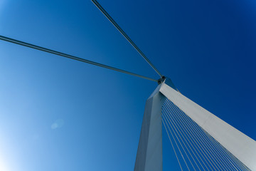 detail of erasmus bridge rotterdam in the blue sky