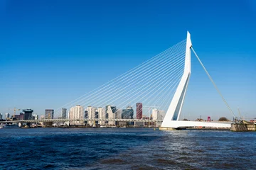 Fototapeten erasmusbrücke rotterdam niederlande © Tim Thurlings