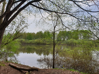 Vologda. A warm spring day in the Peace Park. Vologda river surrounded by young foliage
