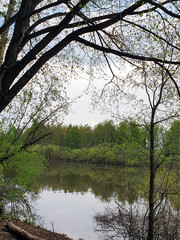 Obraz premium Vologda. A warm spring day in the Peace Park. Vologda river surrounded by young foliage