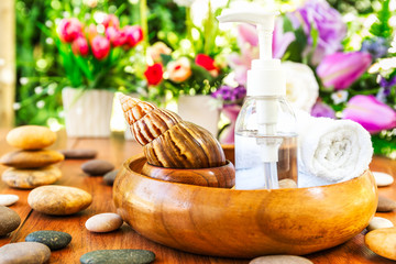 Spa concept snail and bottle essential oil in bottle