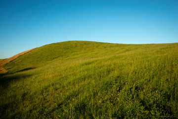 Green hills of Taranaki under blue sky