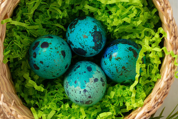 Blue painted eggs in a nest for Easter