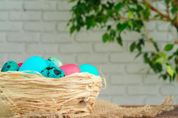 Easter decorative nest with colored eggs close up