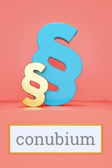 conubium. Begriff auf Schild. Präsentation von Paragrafen auf Podest in Museum. Symbol für Recht, Gesetz, Urteil. Rosa Hintergrund