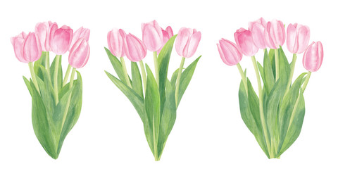 Watercolor Pink Tulip Flower Bouquets isolated on White Background. Soft and Tender Spring compositions for Easter, 8th March, International Women's Day, Romantic Cards and Other.