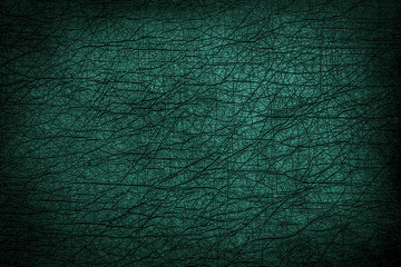 Green leather texture. Background