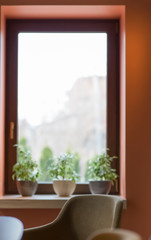 Blurred cafe interior with plants in pots on windowsill
