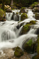 Nature rainforest river cascade.