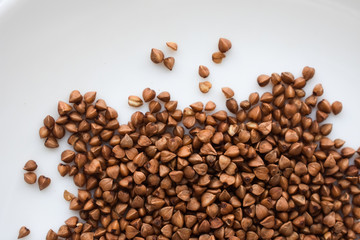  buckwheat on a white background