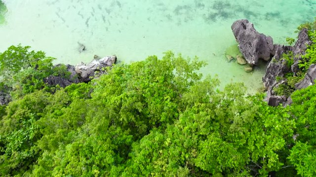 Tropical island with trees and rocks. Summer and travel vacation concept. Seascape with beautiful sky and islands.