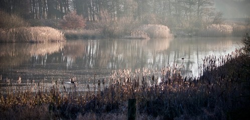 Fototapeta premium Winter landscape with trees and reflections 