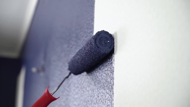 Close up cushion paints the white walls blue. White wallpaper for painting is painted using a special paint roller.