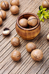 Fototapeta na wymiar Nuts of macadamia integrifolia