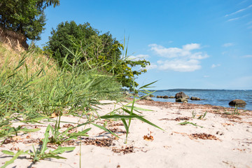 Fototapeta na wymiar Beach near Neukamp, Ruegen Island, Germany, Strand in der Naehe von Neukamp, Insel Ruegen