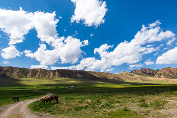 Green pastures, en route from Naryn - Bishkek, Kyrgyzstan. The Tien Shan range. 