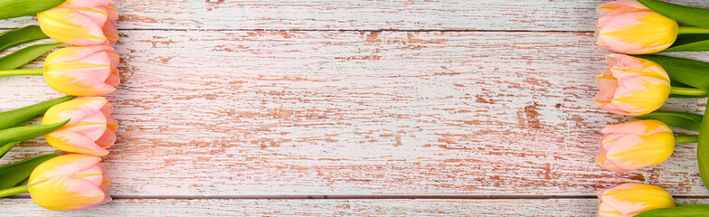 Spring background. Colorful blooming tulips on a wooden background. Copy space.