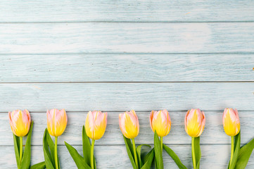 Spring background. Colorful blooming tulips on a wooden background. Copy space.