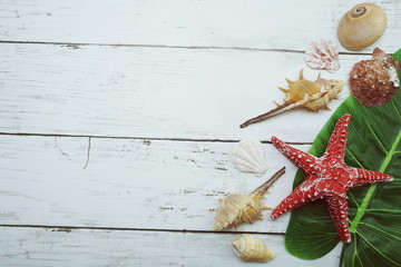 Starfish and Shell decoration with green leave on wooden background