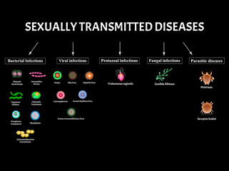 HIV, herpes, papilloma, hepatitis, cytomegalovirus, Zika. Set viral infections. Syphilis, Gonococcus, Chlamydiosis, Chlamydia, Mycoplasma, Ureaplasma Bacterial. Sexually transmitted diseases. Vector