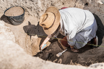 Archaeologist Uncovering Artifacts Remains - obrazy, fototapety, plakaty