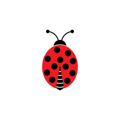 Beauty bug vector illustration icon design