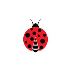 Fototapeta premium Beauty bug vector illustration icon design