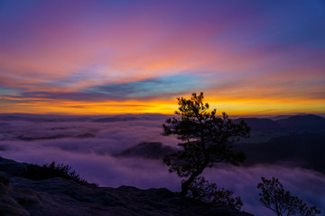 Sonnenaufgang Sächsische Schweiz Lilienstein © David