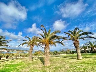 Malta country island Mediterranean Sea landscape travel pictures