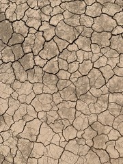 dry soil cracked earth texture