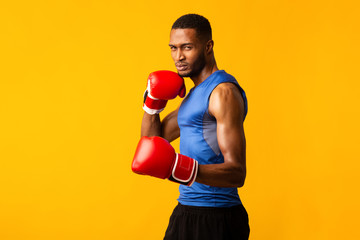 Fototapeta premium Confident afro fighter demonstrating classical boxing stance