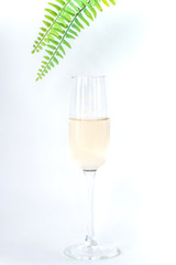 glass of white wine on a white background with palm tree