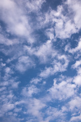 Fototapeta premium 青空