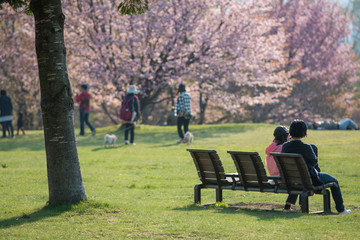 春の公園