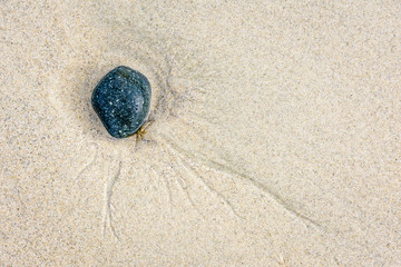 View from above of a pebble in the wet sand on the beach.
