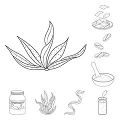 Fototapeta premium Vector design of food and vegan sign. Set of food and weed vector icon for stock.