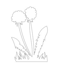 grass and flower, contour, sketch