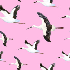 Obraz premium watercolor hand drawn seamless pattern with oriental stork crane flying sky neutral calm soft natural colors grey pink white endangered species birds animals nature lovers new born baby it is a girl